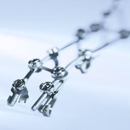 SSE Spine System Evolution-Product Picture Enlargement CW