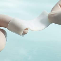 Lyoplant® Onlay-Product Picture Enlargement CW